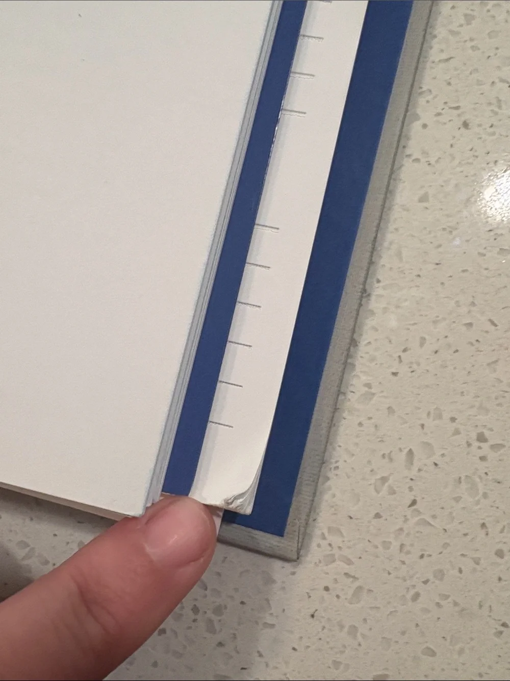 Skinny Taste Ultimate Meal Planner - Gray